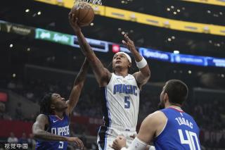 的谢幕季 的谢幕季